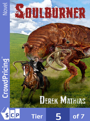 cover image of Soulburner